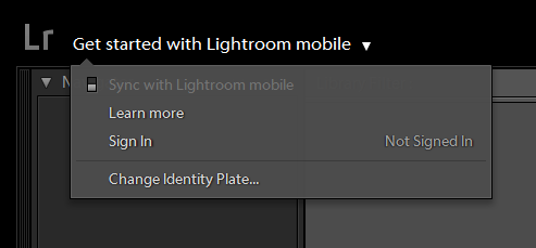 Prompt from within Lightroom